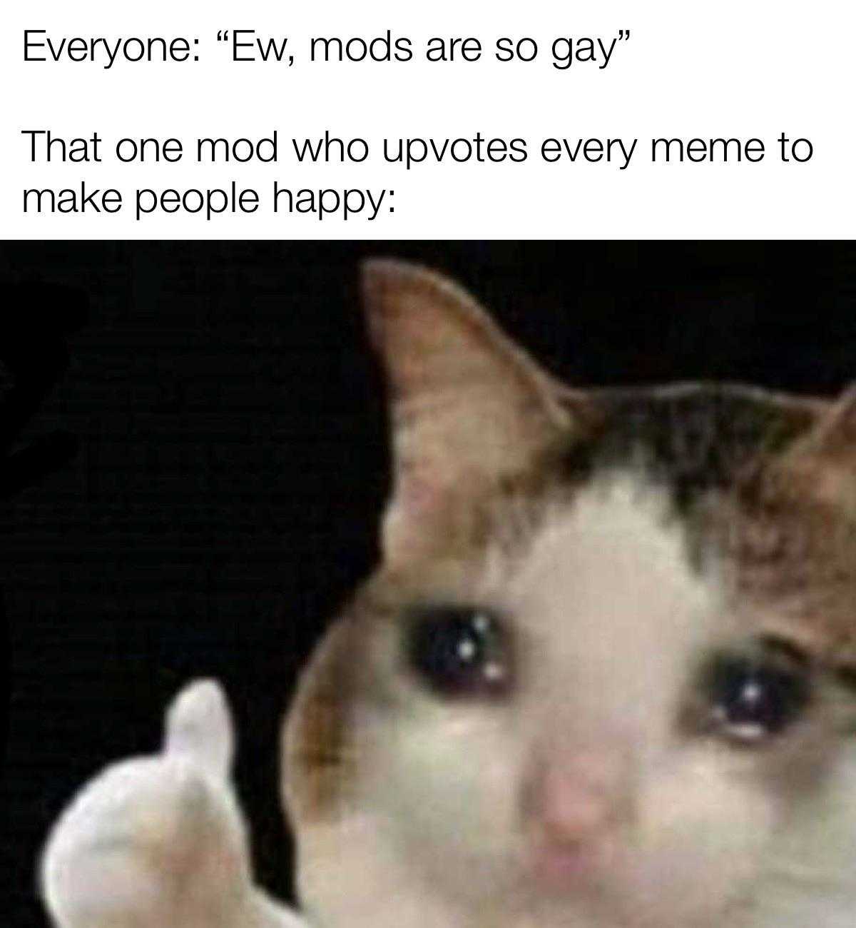 cat with a caption saying everyone ew mods are gay that one person who upvots everyone me to make people happy