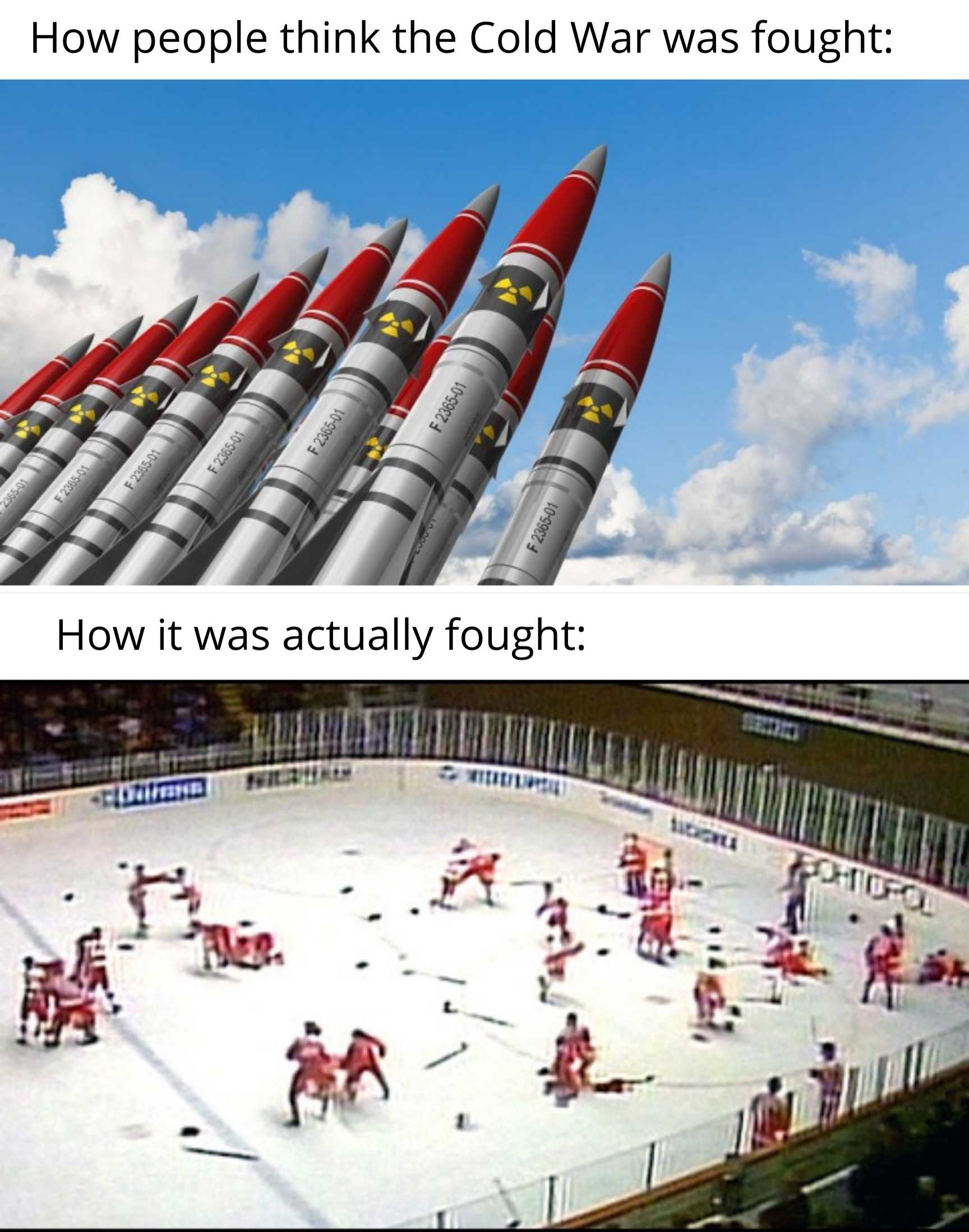 a picture taken from a video game shows a hockey game being played