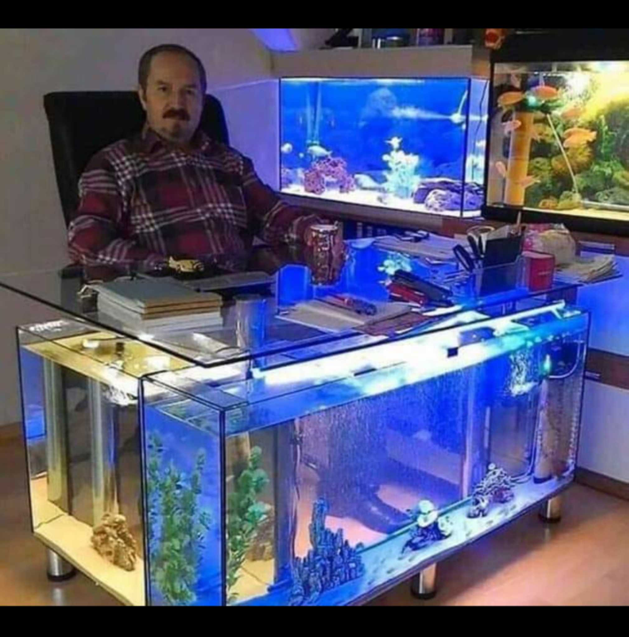 man sitting at a desk with a fish tank in front of him