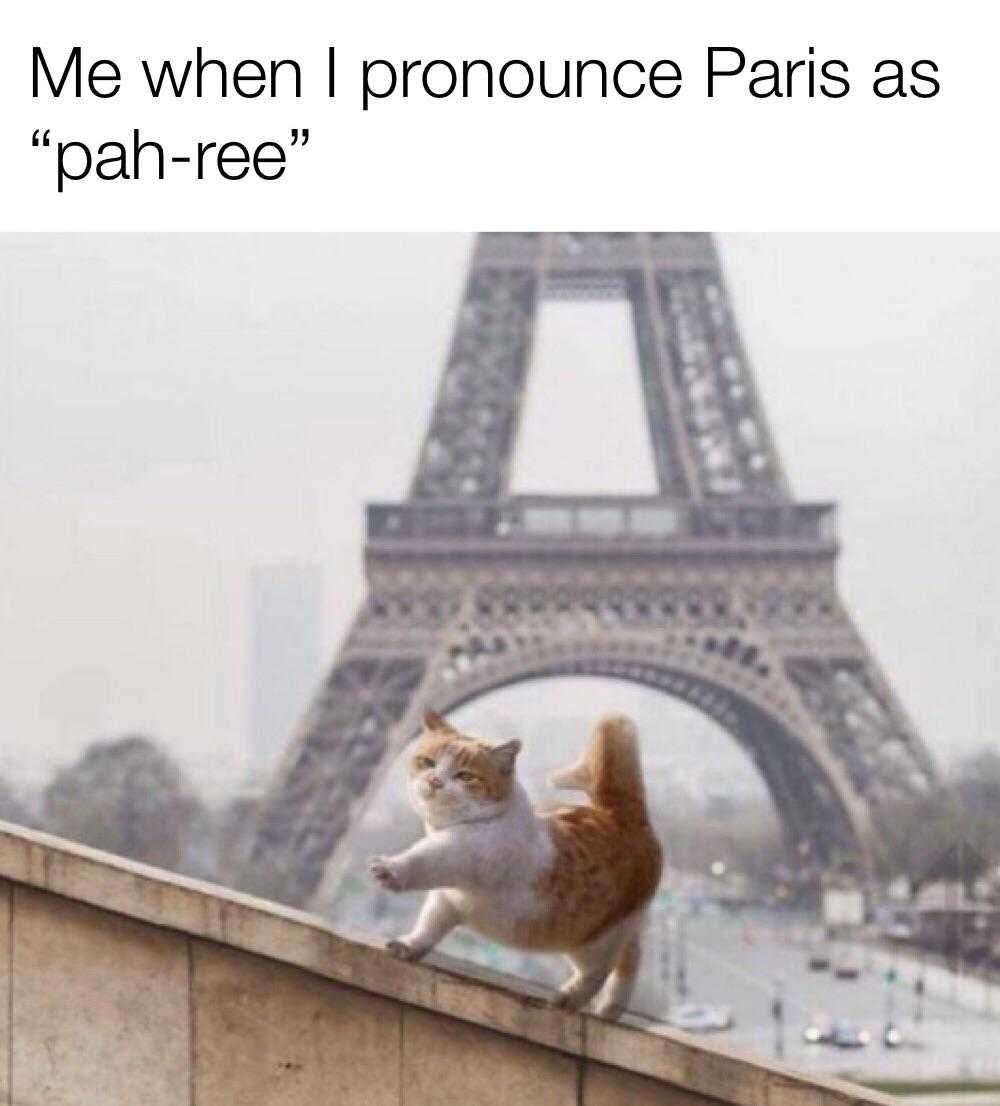 araffe cat sitting on a ledge in front of the eiffel tower