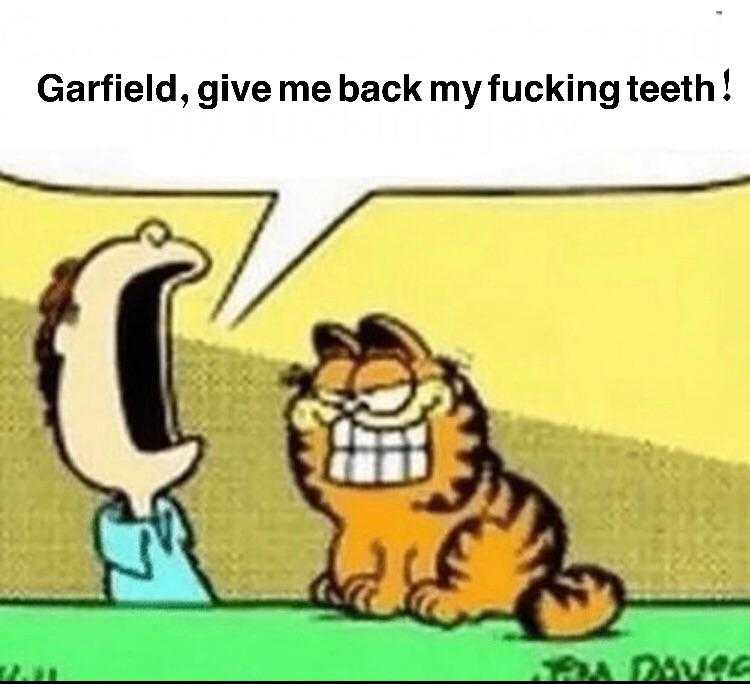 cartoon of a man with a cat saying, garfield give me back my fucking teeth