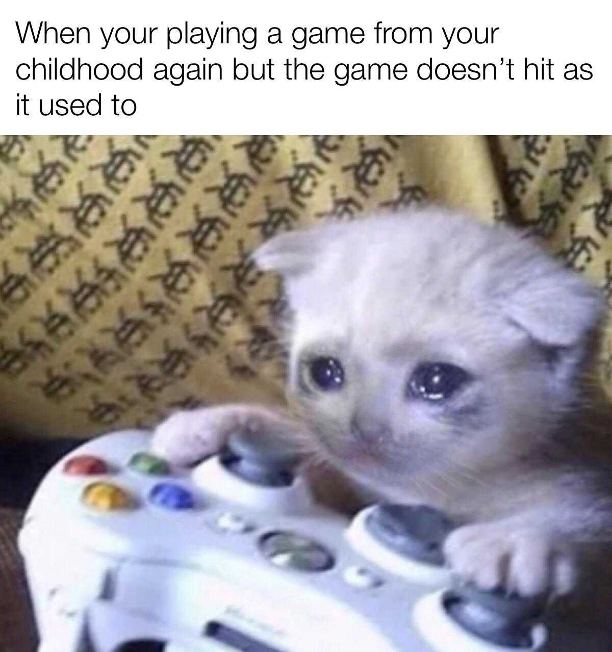 kitten playing a game with a video game controller