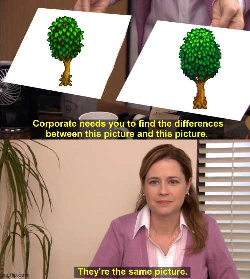 there are two pictures of a woman holding a picture of a tree