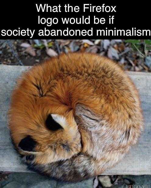 there is a fox curled up on a bench with a caption that reads what the firefox logo would be