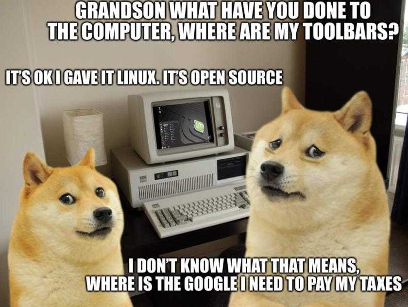 two dogs sitting in front of a computer with a caption of a computer