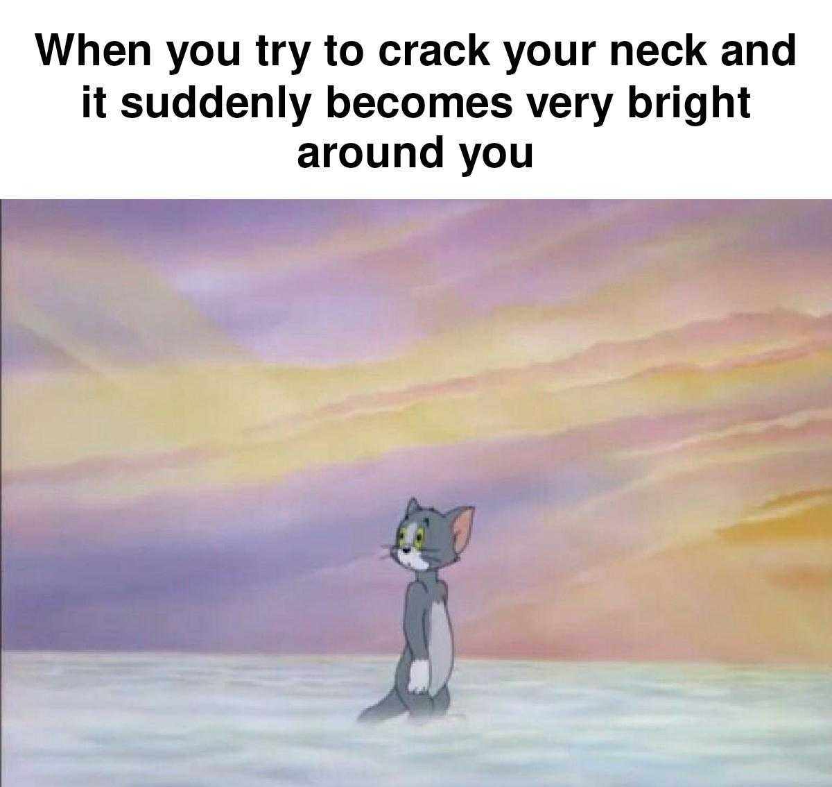 cartoon of a cat standing in the snow with a caption that reads when you try to crack your neck and suddenly becomes very bright around you