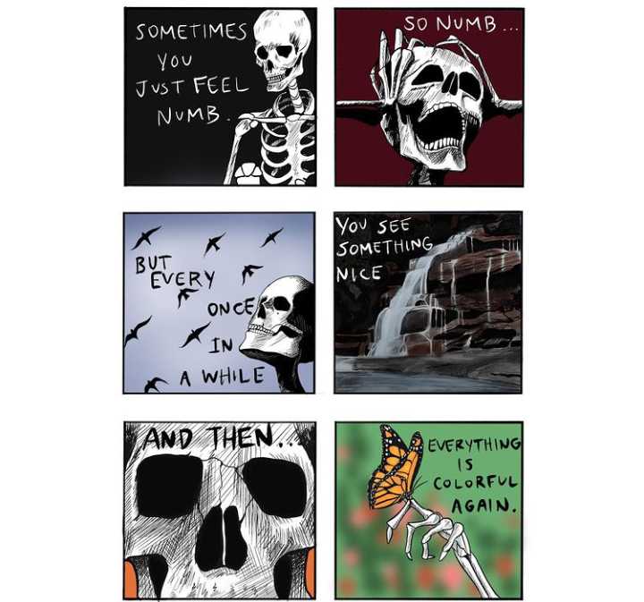 a cartoon of a bunch of different pictures with a skeleton on them