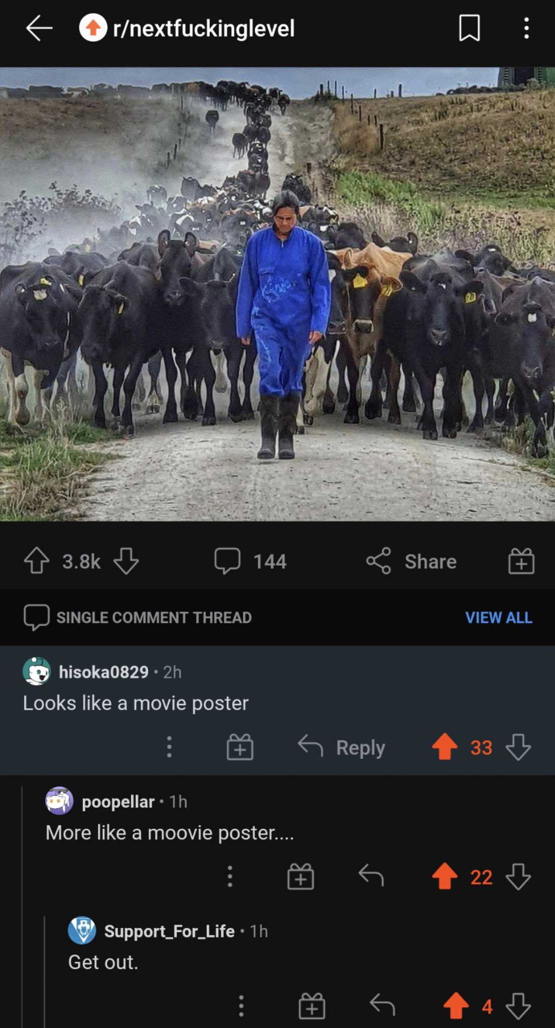 there is a man walking down a road with a herd of cows