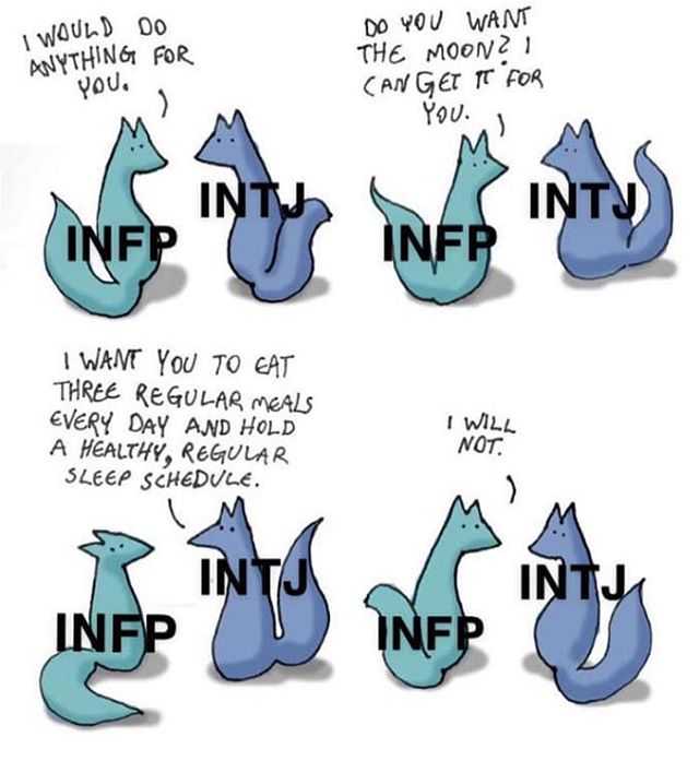 cartoon of a cat with the words inf and inf inf