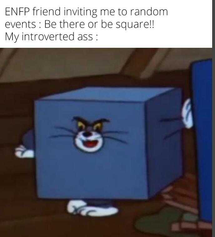 cartoon meme of a cat in a box with caption saying, ' enfrried into me random