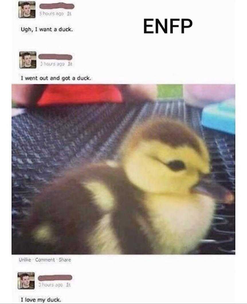 duck with a caption of a duck saying, i want to get a duck