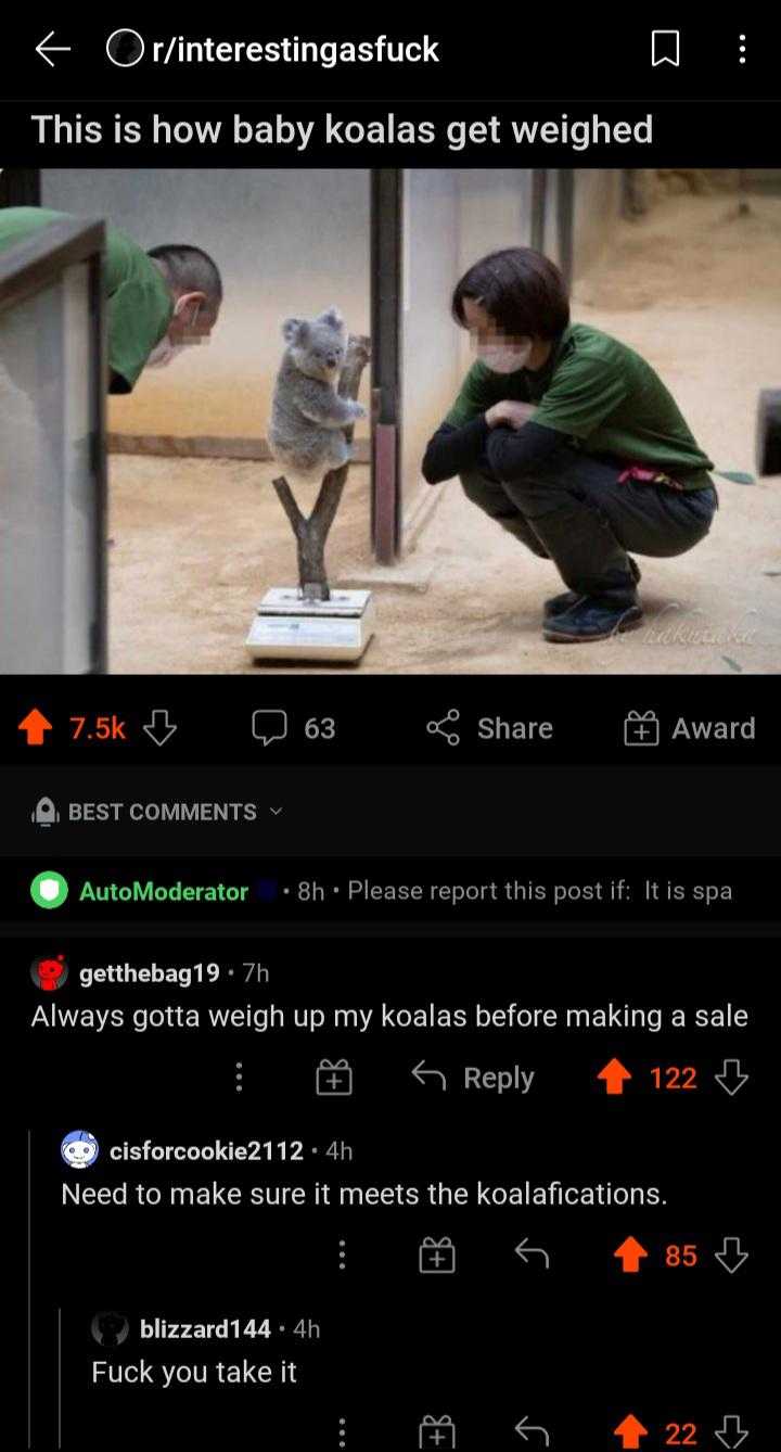 a close up of a person kneeling down with a cat on a scale