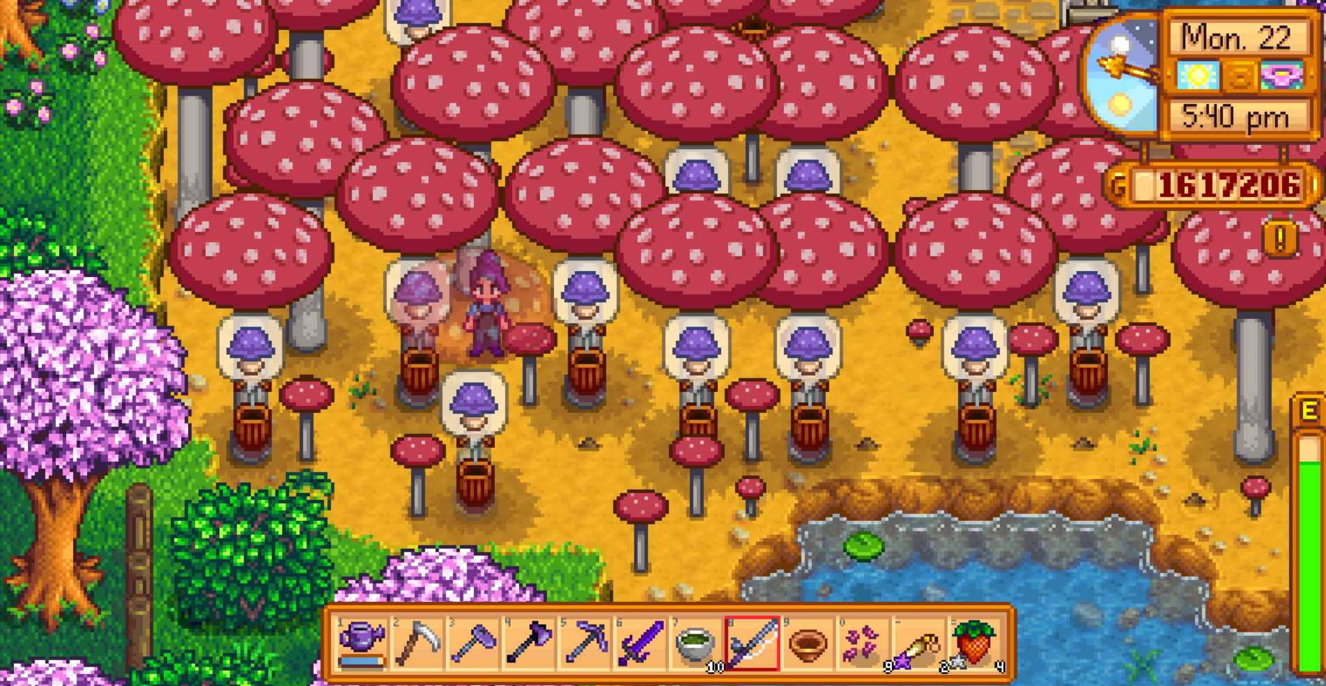 a screenshot of a game with a bunch of mushrooms