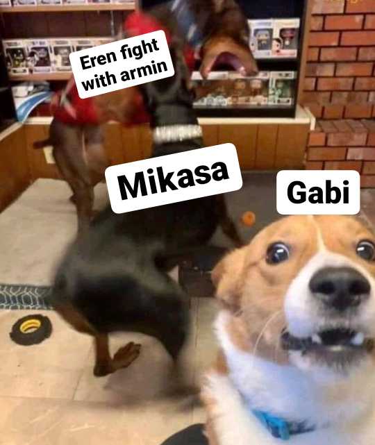 dogs are standing in a room with signs that say, even fight with armin mikasa gab