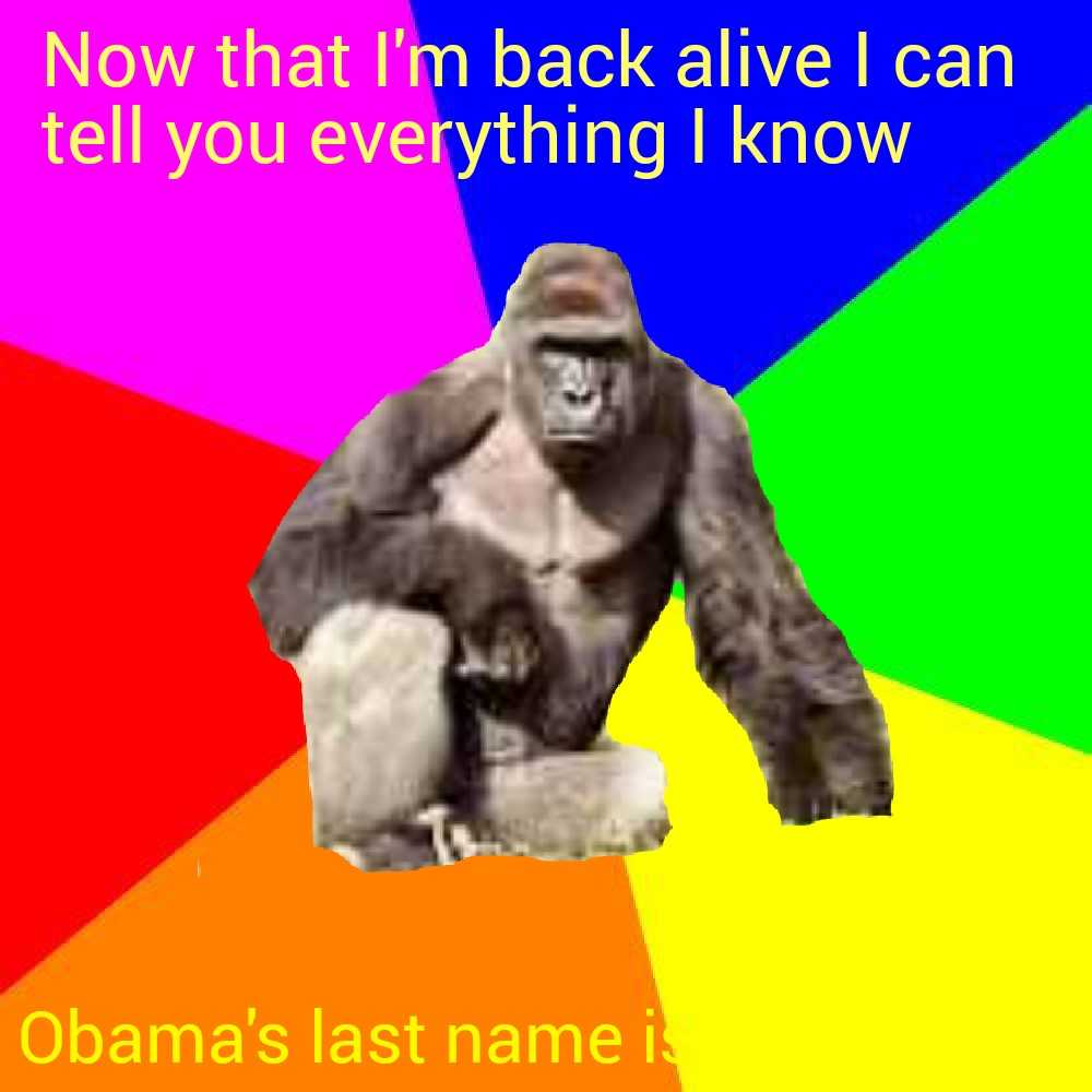 a close up of a gorilla sitting on a rock with a caption