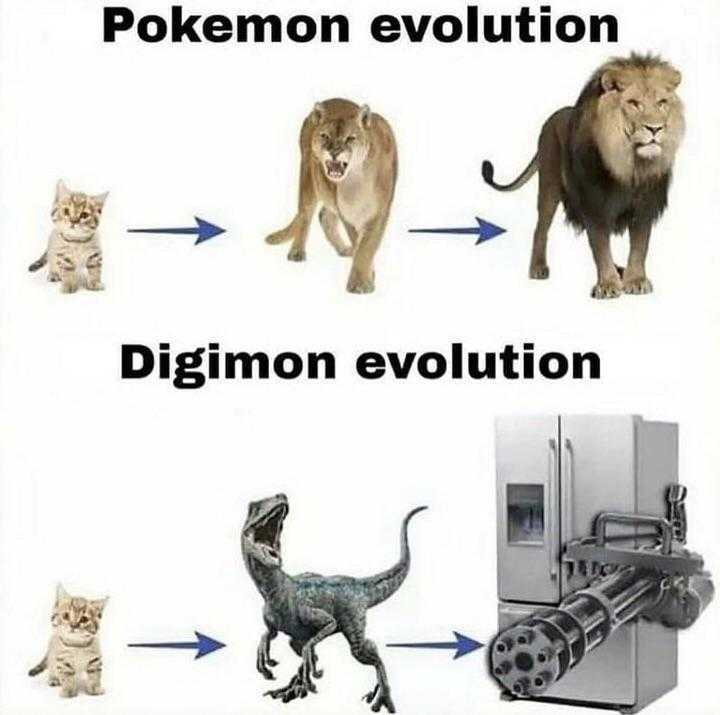 image of a cat and a lion and a dog and a robot