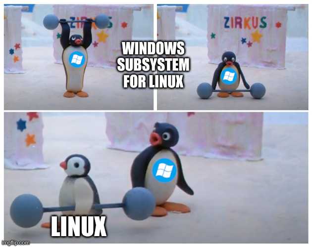 there are four pictures of a penguin and a penguin with windows