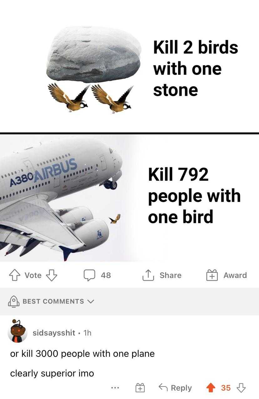 a close up of a plane with a bird on it and a bird on the ground