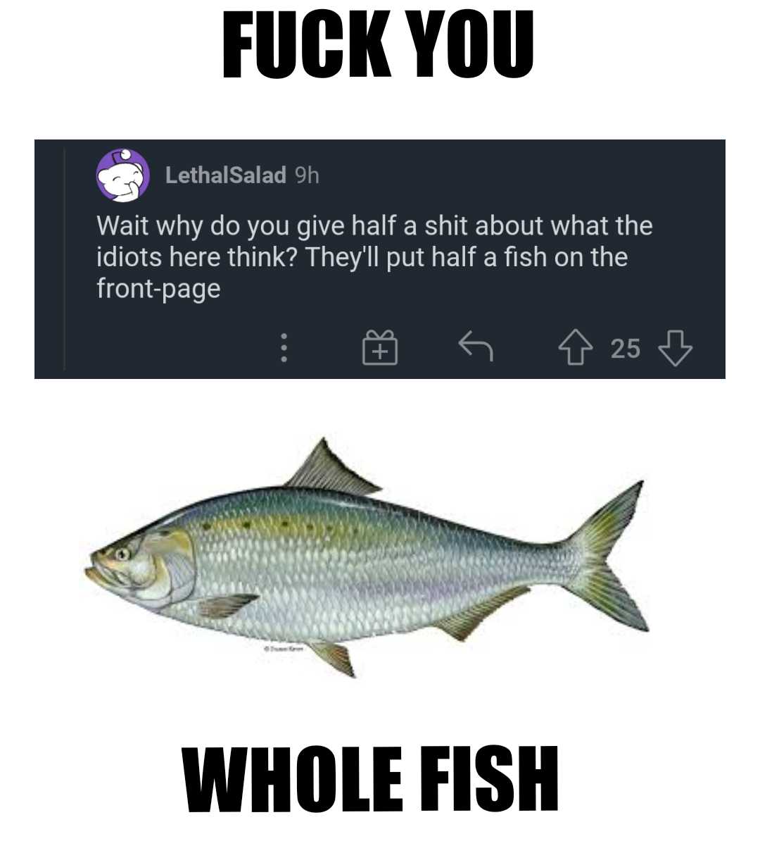 a picture of a fish with a caption that reads, fuck you