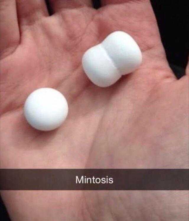 image of a hand holding two white pills