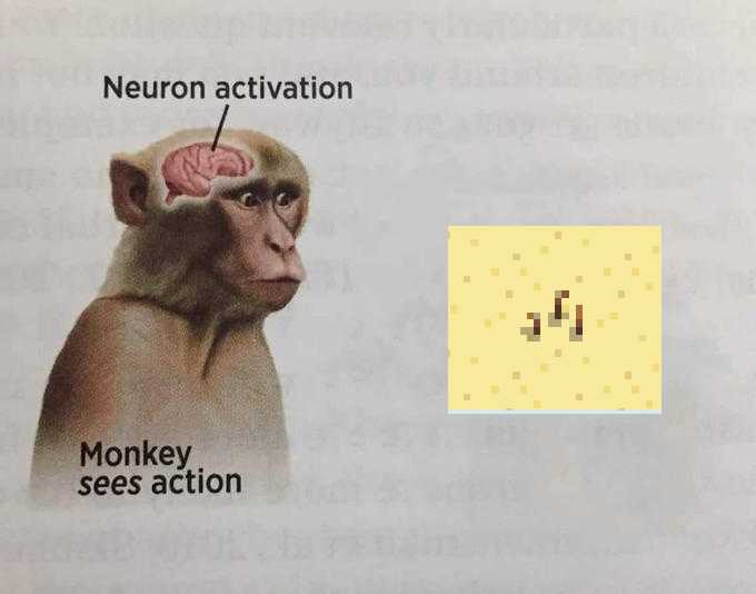 monkey with a brain and a yellow square with a small dot