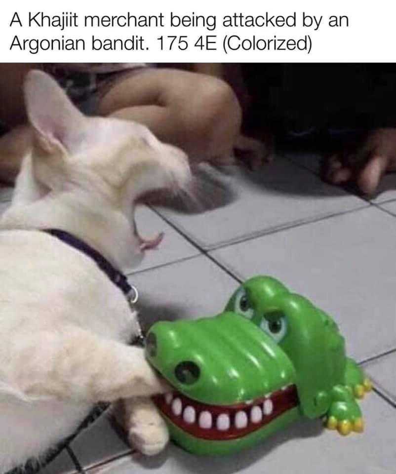 araffe dog chewing on a toy alligator with a caption of a caption