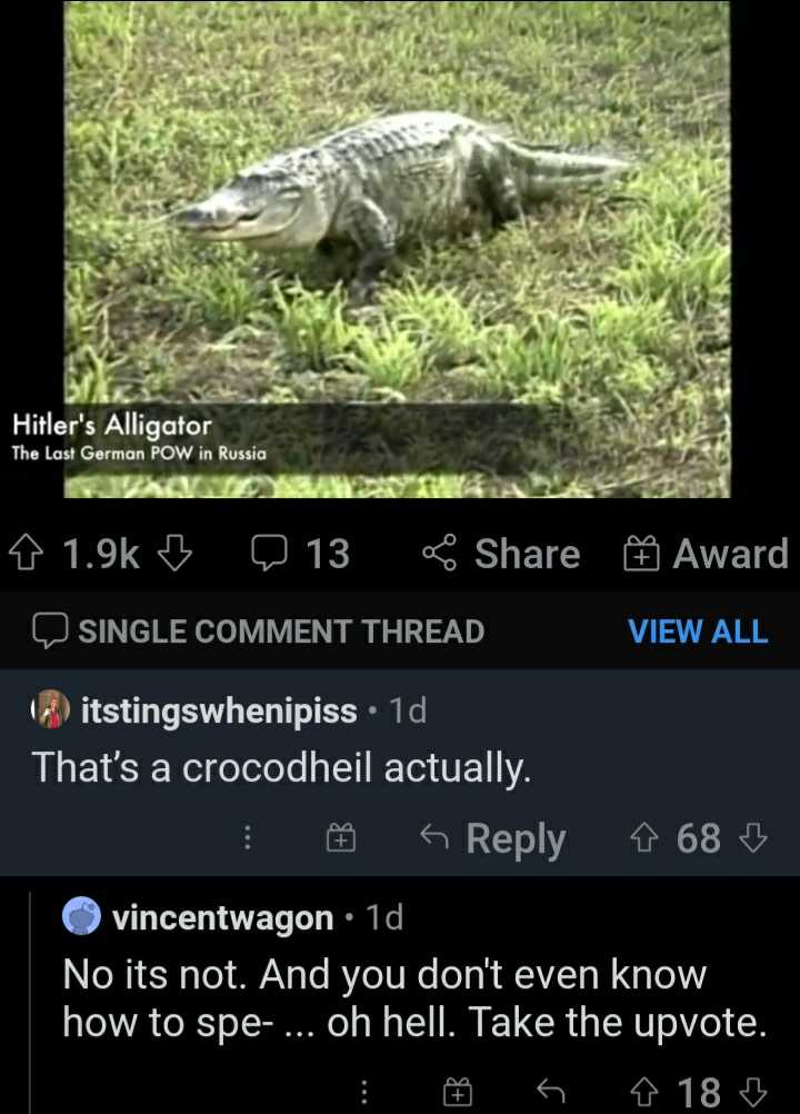 a close up of a person on a cell phone with a picture of an alligator