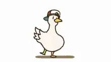 cartoon duck wearing a baseball cap and sunglasses