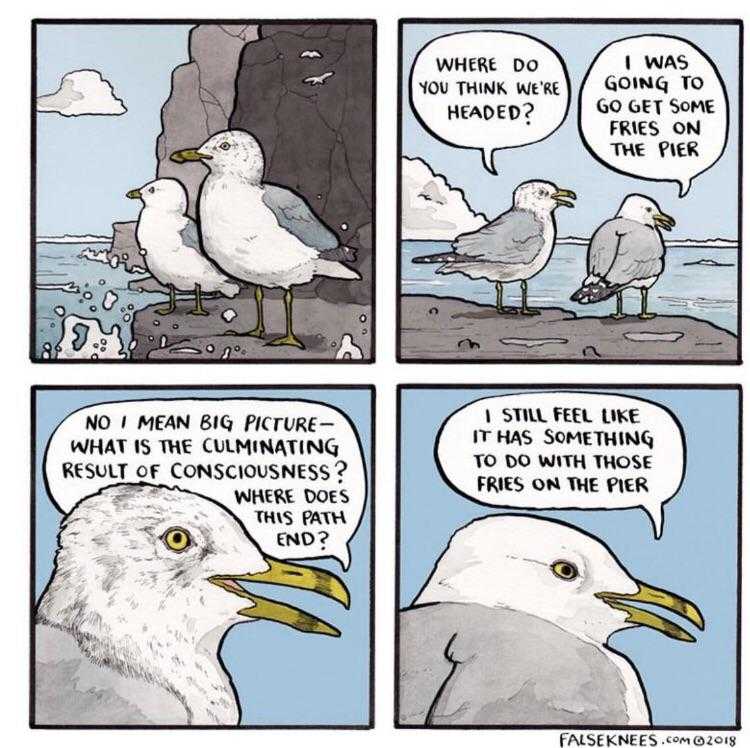 a cartoon of a seagull is sitting on a rock and a bird is standing on the rock