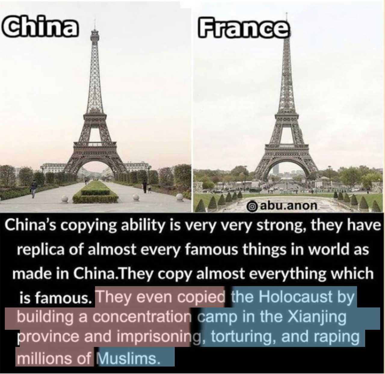 a picture that is captioned to show the differences between china and france