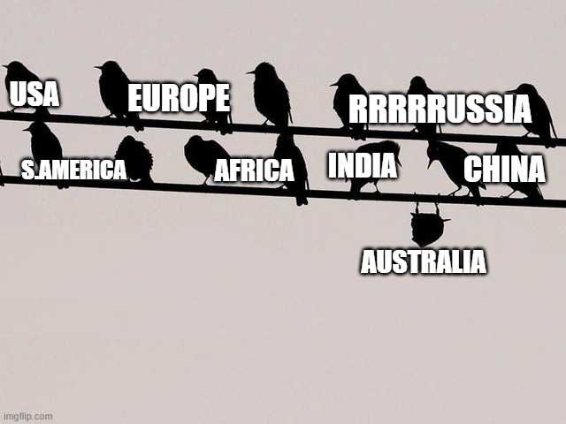 there are many birds sitting on a wire with the words europe, america, and china