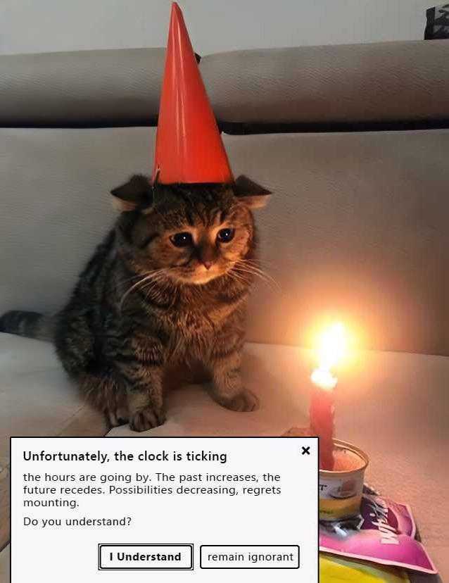 there is a cat sitting on a couch with a birthday hat on