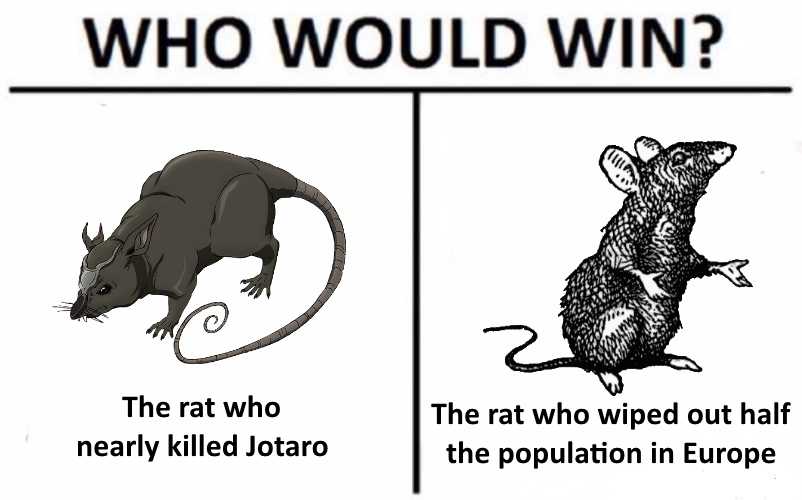 a cartoon of a rat and a rat who would win?