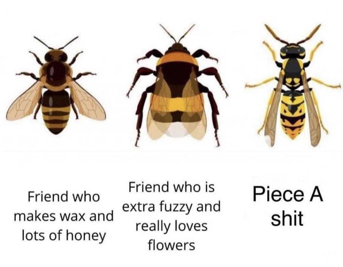 three different types of bees with the words, ' friend who is extra fuzzy and really loves lots of honey