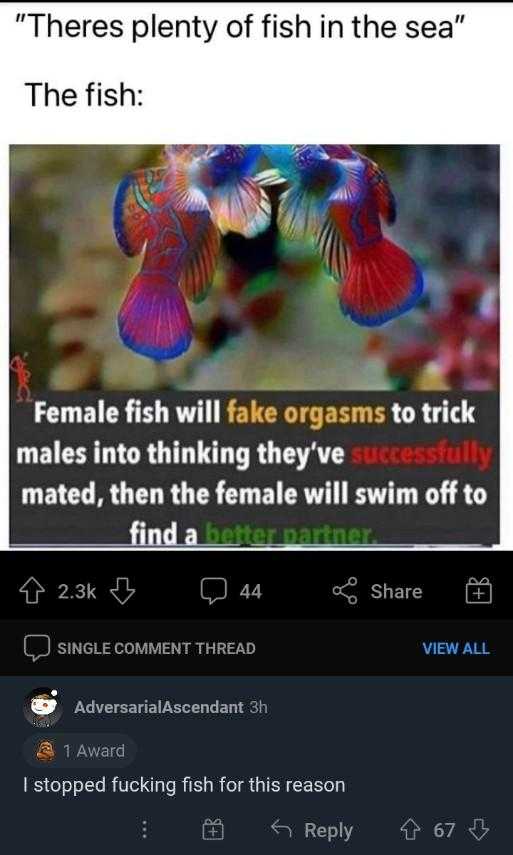 a screenshot of a fish with a caption of a fish saying