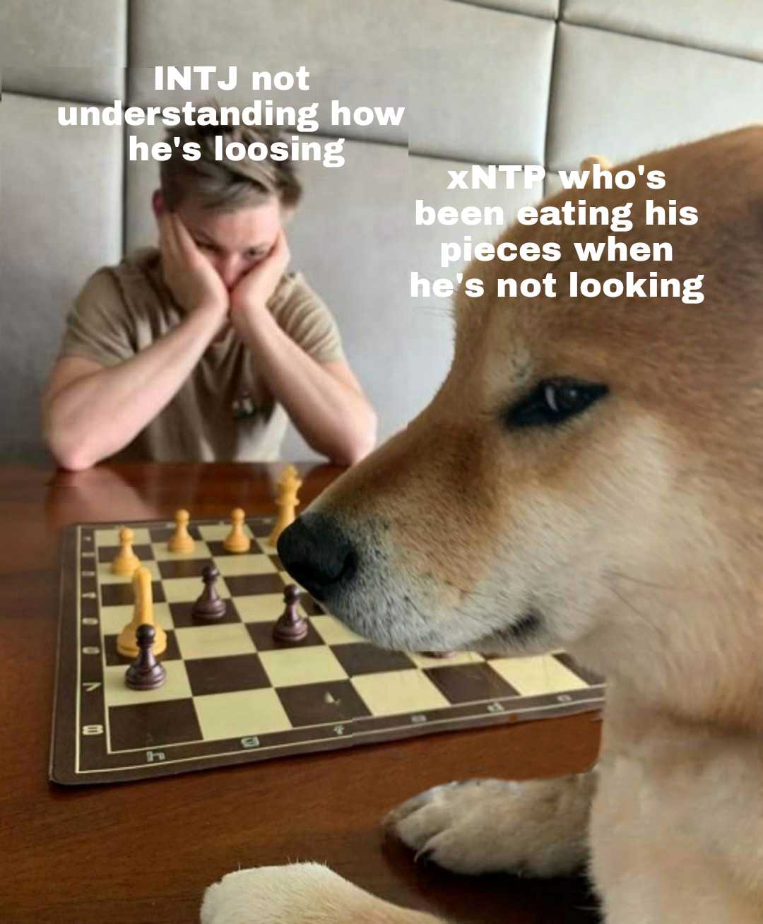 there is a dog that is sitting at a table with a chess board