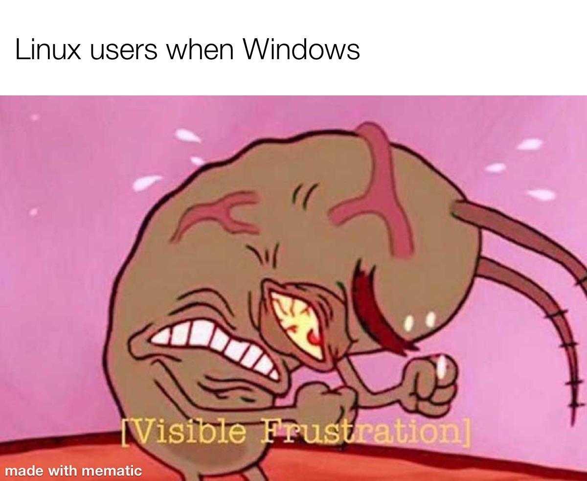 a cartoon image of a bug with a caption that reads linux versus windows