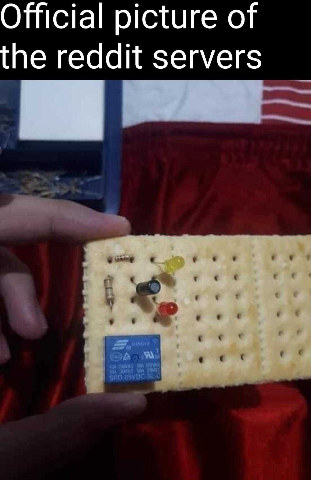 someone is holding a cracker with a picture of a reddit server