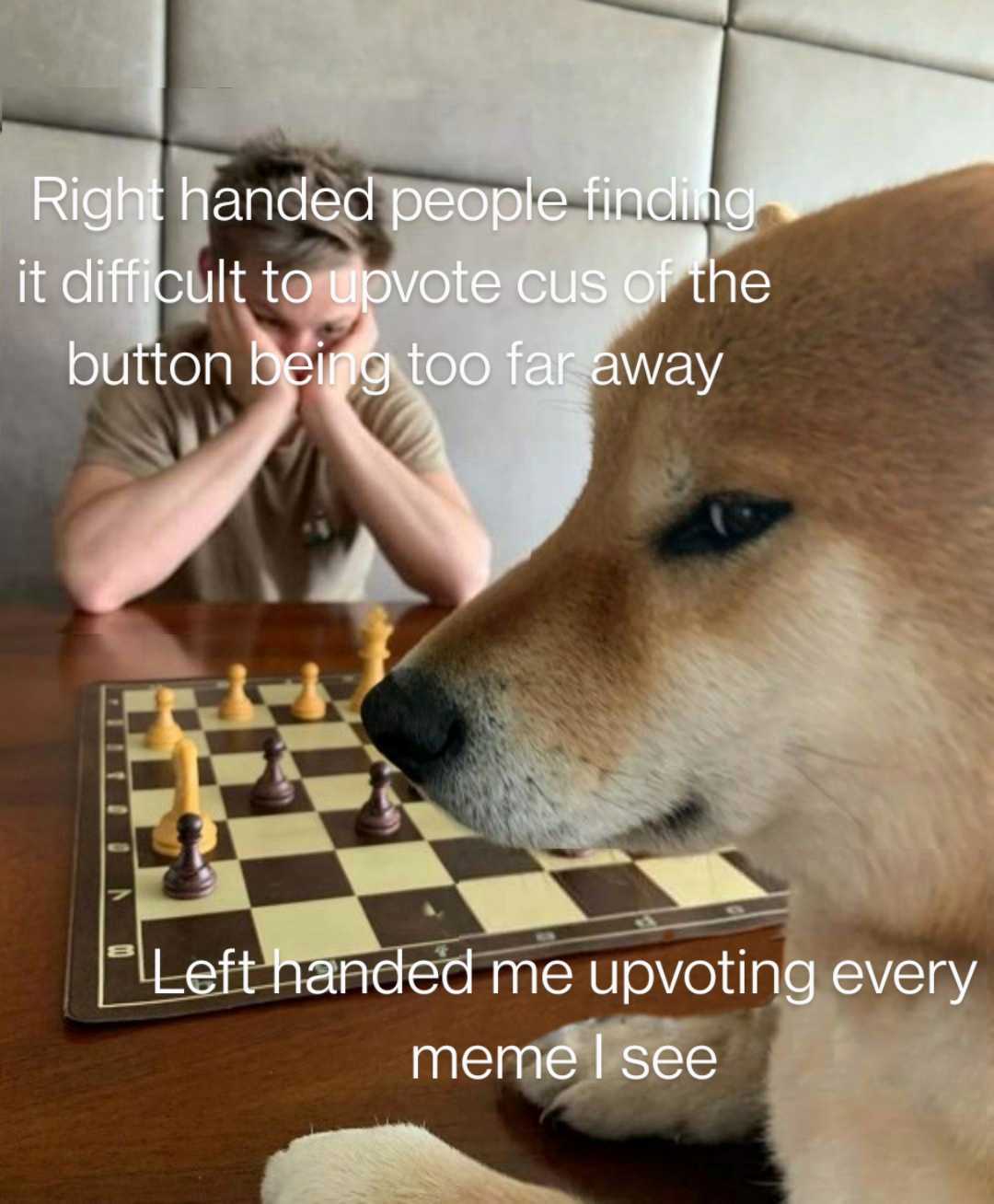 dog sitting at a table with a chess board and a man in the background