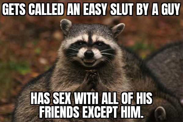 a close up of a raccoon with a caption saying get called an easy sulby guy has sex with all of his friends except him