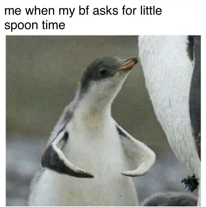 a close up of a penguin with its head up and a caption of a penguin saying, ' me