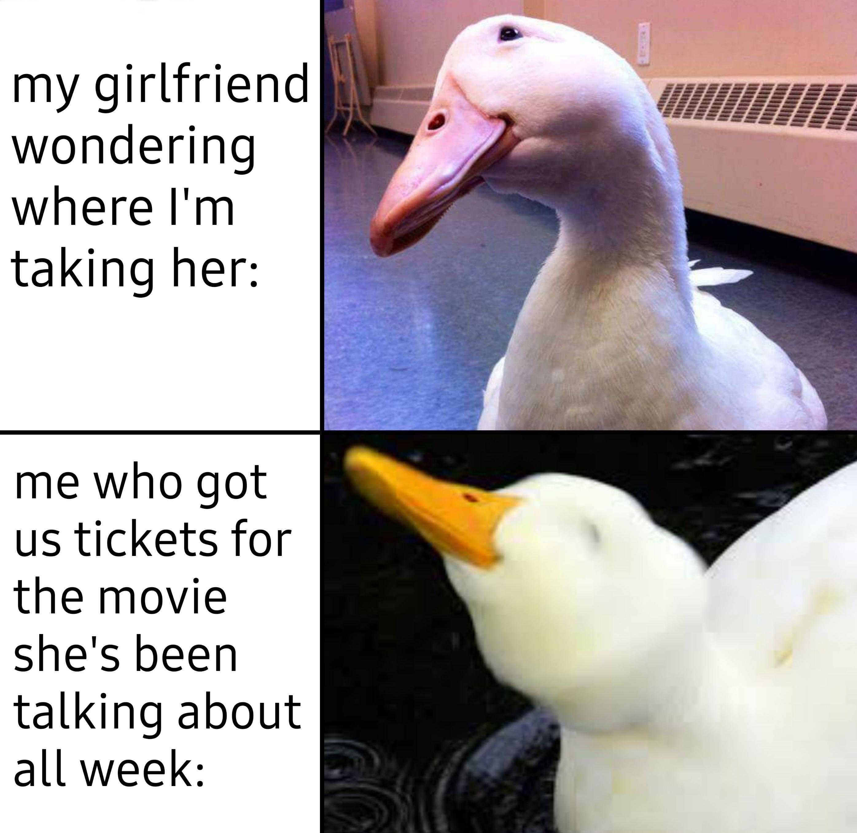 there are two pictures of a duck with a caption of a woman