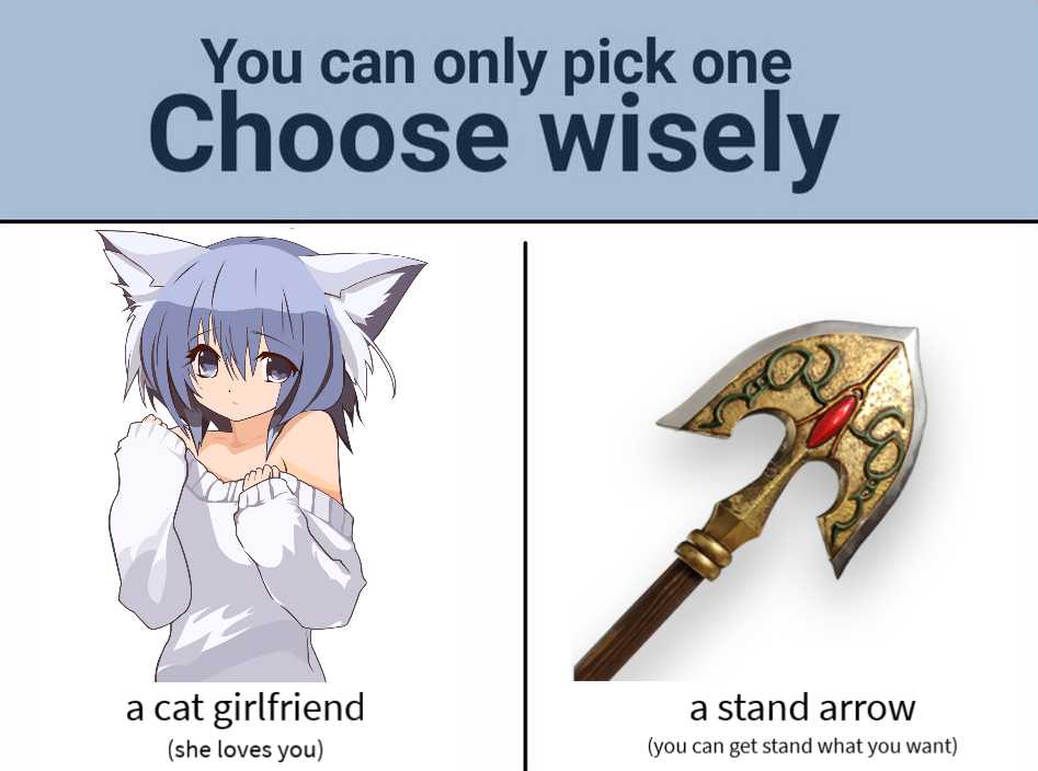 a cartoon picture of a cat and a girl with a sword