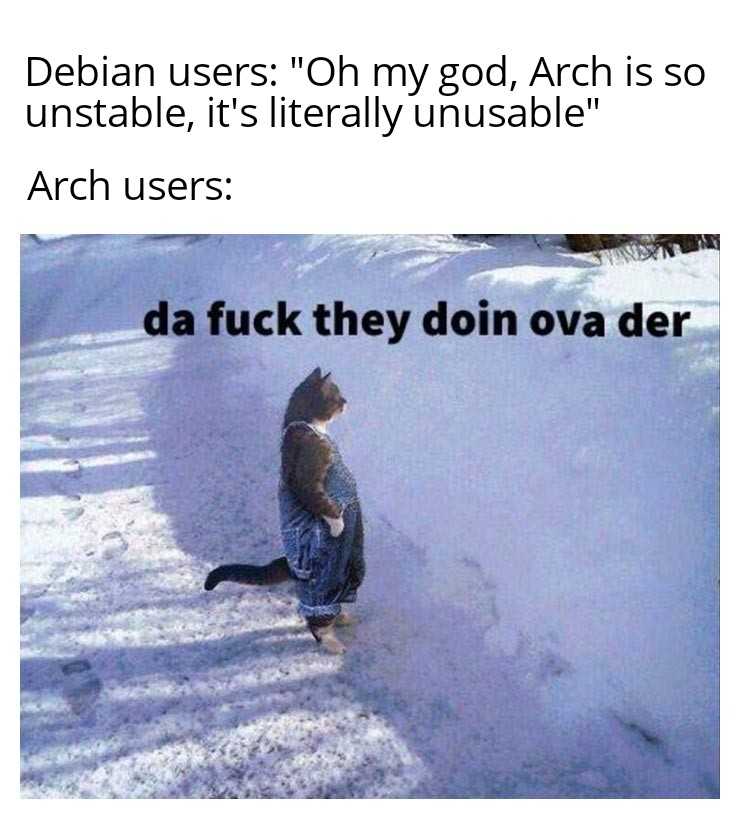 araff cat in the snow with caption saying, debian users oh my god, arch is