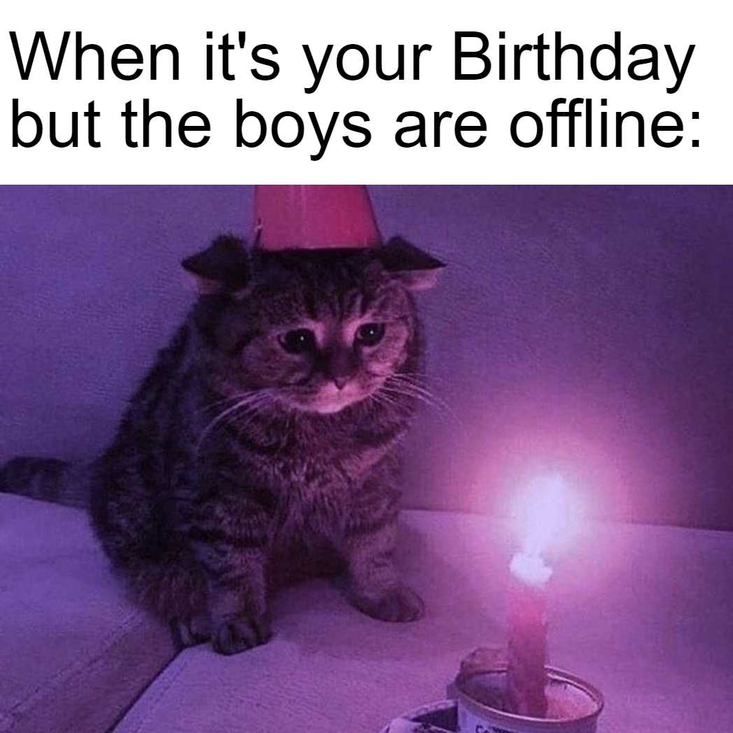 there is a cat that is sitting next to a birthday candle