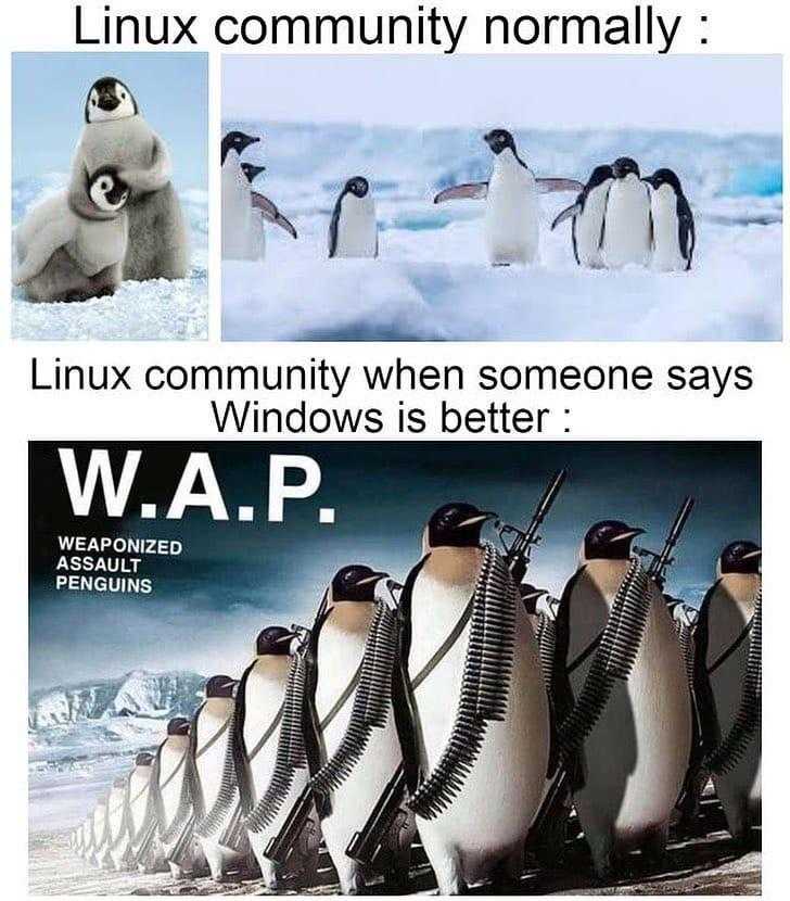 a picture taken from a computer screen shows a penguin and a penguin penguin