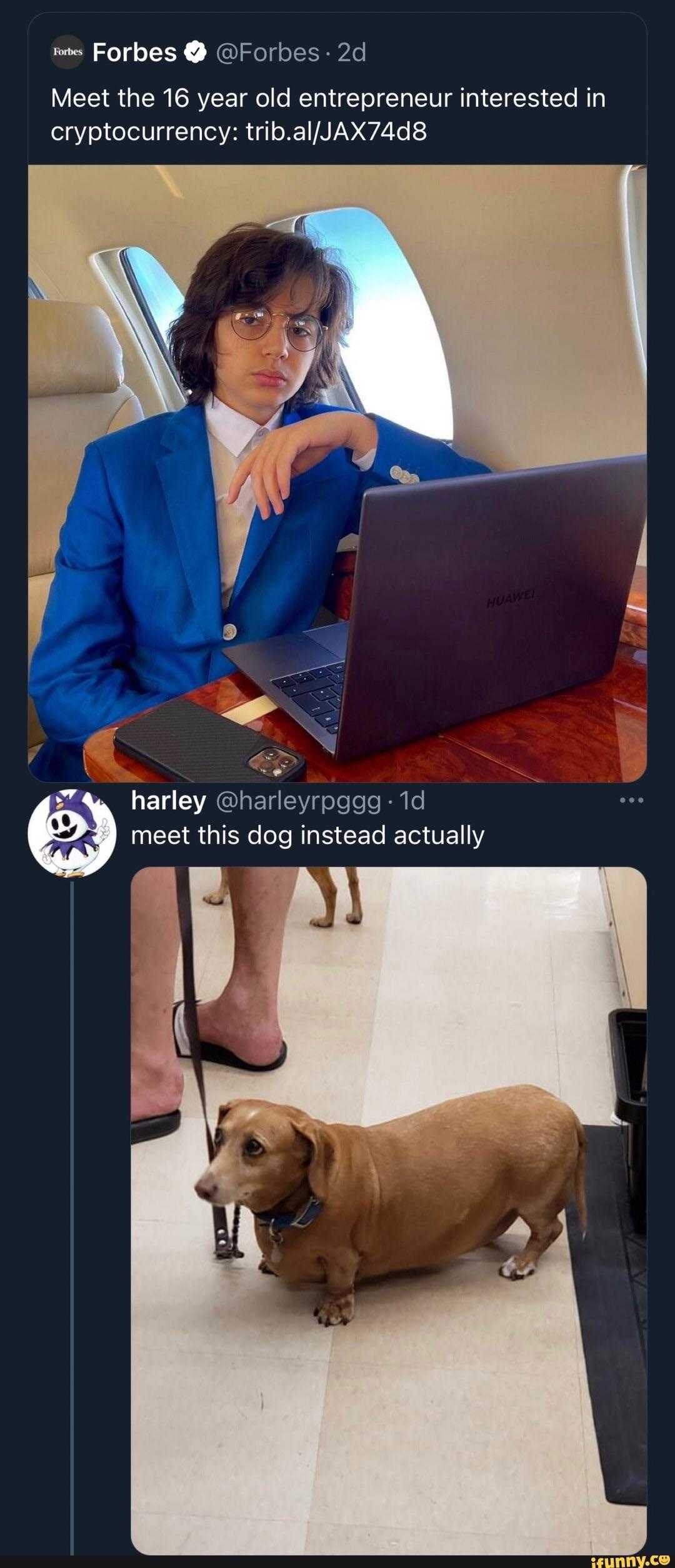 woman sitting at a table with a laptop and a dog