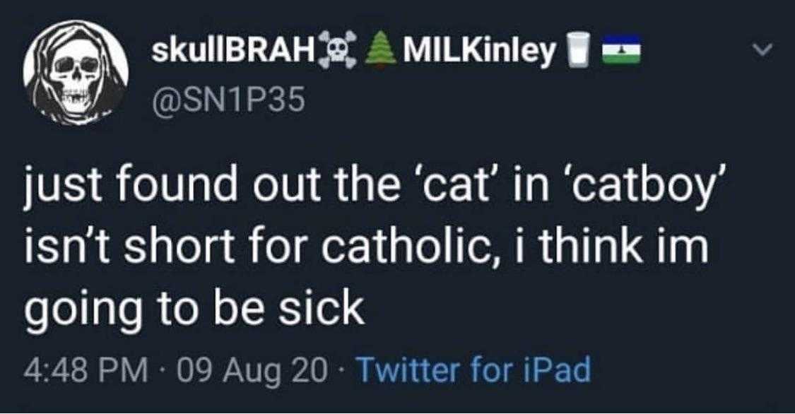 a tweet with a skull on it saying it ' s just found out the cat in catby