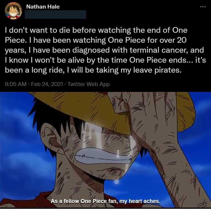 a screenshot of a person with a straw hat on and a caption of a text that reads, ` i don ' t want to die before watching the end of one piece of one piece for over 20 years i have been diagnosed with final final cancer 20 years, i have been