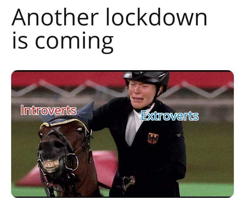 horse wearing a helmet and a suit with a caption that reads another lockdown is coming